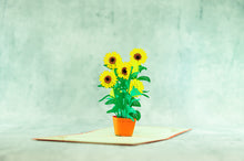 Load image into Gallery viewer, 3D Pop Up - Greeting Card