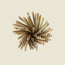 Load image into Gallery viewer, Grass Straws
