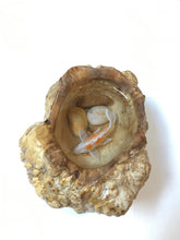 Load image into Gallery viewer, 3D Fish Handcraft Paint Resin In Wood
