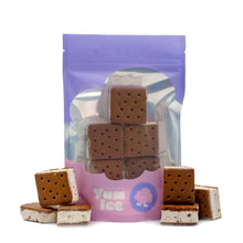 Load image into Gallery viewer, Freeze Dried Ice Cream Sandwich
