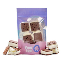 Load image into Gallery viewer, Freeze Dried Ice Cream Sandwich
