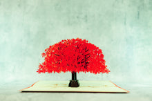 Load image into Gallery viewer, 3D Pop Up - Greeting Card
