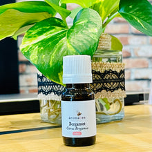 Load image into Gallery viewer, Aromabee Single Essential Oil
