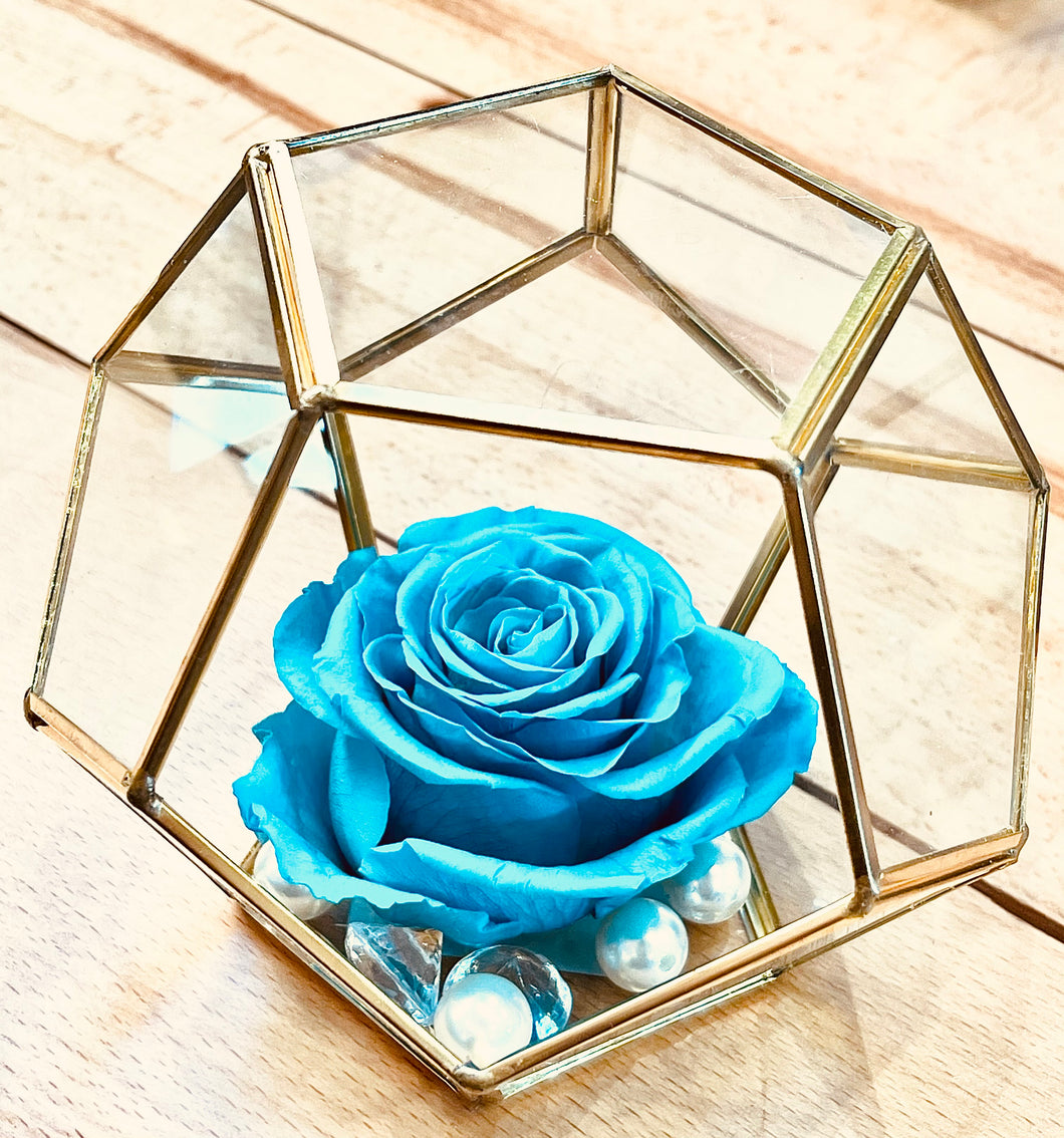 Roy Blue Immortal Rose