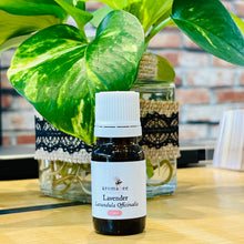 Load image into Gallery viewer, Aromabee Single Essential Oil
