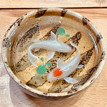Load image into Gallery viewer, 2 3D Fish Resin in Ceramic Bowl
