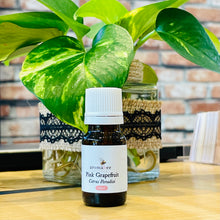 Load image into Gallery viewer, Aromabee Single Essential Oil
