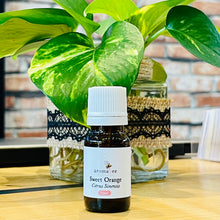 Load image into Gallery viewer, Aromabee Single Essential Oil
