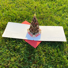 Load image into Gallery viewer, Christmas Pop Up - Greeting Card

